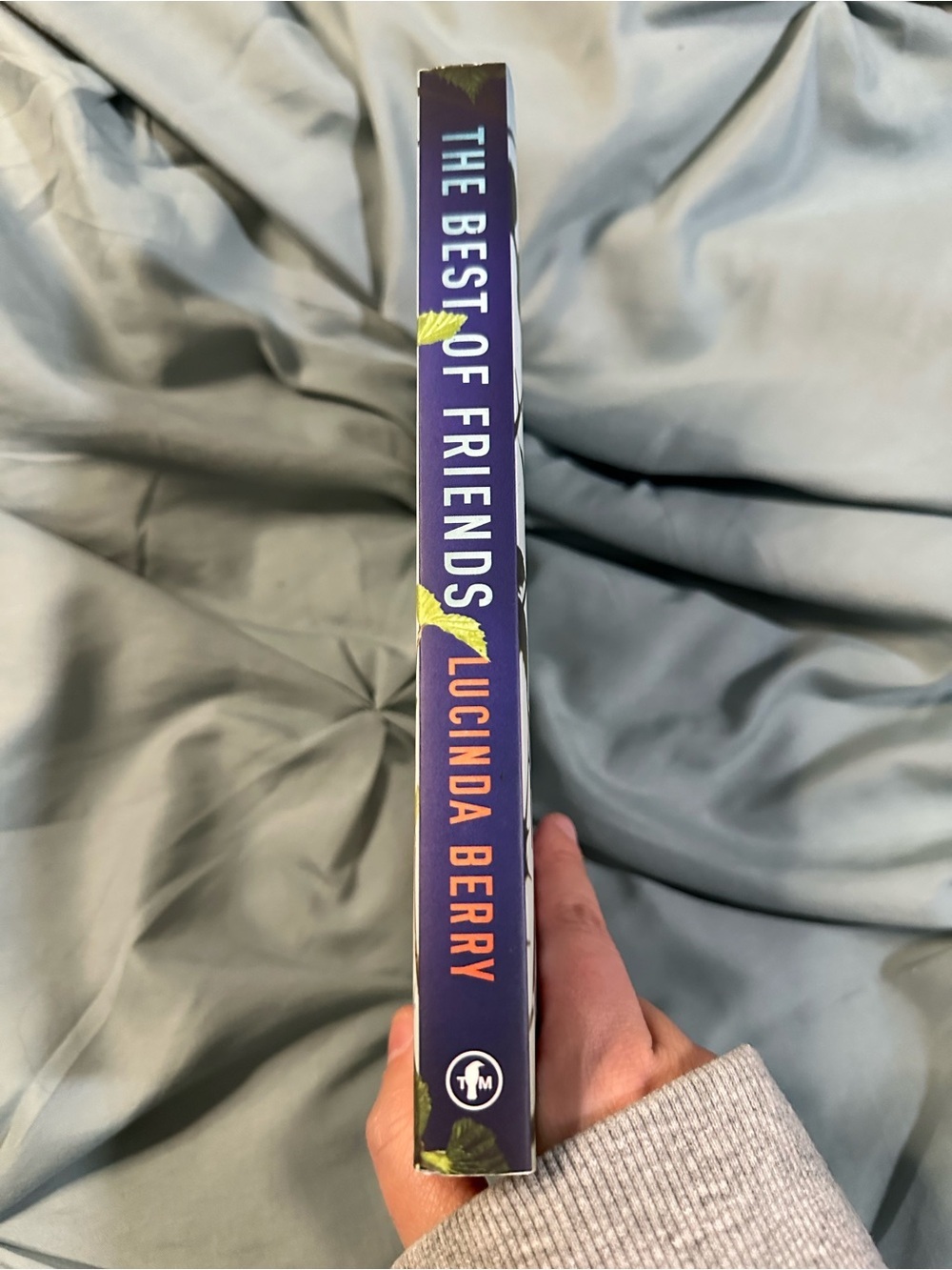 📚2 for $15 📚BOOK SALE - Lucinda Berry 'The Best of Friends' - Picture 3 of 3
